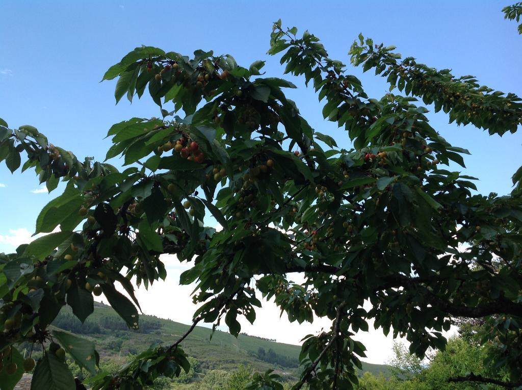Villar de Otero El Mirador De Los Trobos מראה חיצוני תמונה